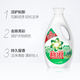 Bilang Qingya Jasmine Flavor Laundry Detergent Natural Fragrance Cleansing Guru New Machine Hand Washing Detergent Gentle Household Large Bottle Qingya Jasmine 3kg*2