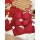 
Modal's year of zodiac underwear for women red wedding bride small breasts gathered with no traces and no steel ring mesh bra 2023 new style red mesh version 9920 (single piece) 34/75AB (through cup)