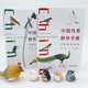 Chinese Birds Field Manual Ma Jingneng New Edition Volume 1,484 Birds Pictures with Distribution Pictures and Bird Watching Artifact