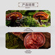 
Beijing Tongrentang Breaking Wall Ganoderma Lucidum Spore Powder Capsules Enhance Immunity Health Food Nutritional Products Gift Gift [Black Box Breaking Wall Ganoderma Lucidum Spore Powder] 5 Box Pack