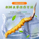 [Tíbet Cabello liso] Auténtico primero Cordyceps frescos 2025 Cordyceps frescos de alta altitud seleccionados SF Cold Chain 0.6-0.7G/Root 100 Roots