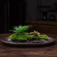 吸水石盆苔藓吸水石盆器盆景盆长方形菖蒲假山上水石水培紫砂陶瓷底盘盆栽 盆景盆2677 陶瓷 大