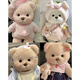 Xinjiang Genuine Internet Celebrity Jointed Bear Plush Toy Doll for Girls Children's Day Birthday Gift Milk White Bear 30cm + Brown T Overalls Set Cute Bear + Grooming Brush