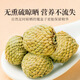 Gongyuan [große Portion Enhanced Version] Raspberry Mulberry Wolfberry Tee 256 g in insgesamt 32 Packs Rebasin Health Flower Tee