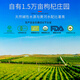 Ningxia Wolfberry Zhongning Red Wolfberry Special Grado 250G latas de nuevo producto ahumado sin azufre NUEVO DÍA DEL PADRA