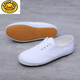 G.duck white sneakers, student canvas shoes, children's white shoes, school gymnastics dance shoes, sports meet performance soft-soled white mesh shoes, pure white, lace-up, size 36, 23cm inside