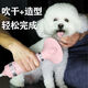Little Sweat Pet Hair Blowing Artifact Hair Blowing Comb Dog Hair Blowing Machine Integrated Hair Dryer Teddy Hair Blowing Comb Beauty Special [One-click Hair Removal] Luxury Silver