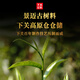 Xiaguan Tuo Tee Tee Pu'er Tee Pu'er Reife Tee 2017 Jingmai Ancient Tree Cake Tea 357G/Kuchen Geschenkbox Urlaubs Geschenk
