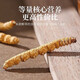 Xueyuantang cordyceps sinensis insecte entier herbe cassée authentique cordyceps sélectionnés produits toniques plateau cordyceps entiers insectes chinois médicinaux toniques environ 0,2 g / racine (insecte entier herbe brisée)