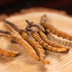 Lei Yunshang [Official] [Naru Qu, Tibet] Cordyceps Подарки и подарки для подарков для продуктов для здоровья, основная производственная зона Аутентичные Cordyceps - 5 корней/G 10G Около 50 корней