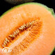 Shouhe Xinjiang Hami Melon Seeds Southern and Northern Early-maturing Super Sweet Xiangfei Reticulated Honeydew Melon Shouhe Xiangyang Hami Melon Seeds 30 capsules 3 high sugar