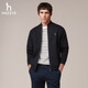 HAZZYS Men's Autumn Casual Jacket Liquid Ammonia Craft Classic Stand Collar Knitted Jacket Men ASVZU0CCX17 Dark Navy Blue DN L (175/96A 48)