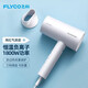 FLYCO Portable Hair Dryer Negative Ion Household High Power Deep Hair Hair Dryer Quick Drying Foldable Birthday Gift for Girlfriend FH6276 Milky White + Storage Bag