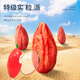 Ning'anbao authentic Ningxia wolfberry, non-smoked sulfur dyeing, large fruit wolfberry, Ningxia wolfberry 250g, 1 can [Excellent medium fruit]