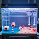 SUNSUN ultra-white glass small fish tank living room small desktop home aquarium ecological water-change-free goldfish tank HE380 high-end tank built-in cotton filter material (38*26*38cm)