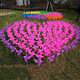 Yingrong Windmill Outdoor Dekoration Sport trifft Kindergärtnerin Kinder handgefertigtes Windmühlenspielzeug hängen Salon Vierblatt 7cm100 mit Stangen Siehe Hauptbild