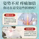 Xu cha vin, matériaux médicinaux, rhumatismes, vin, taille et jambes, cou, épaule, taille et jambes, mains et pieds engourdis, hommes et femmes, personnes d'âge moyen et âgées en bonne santé, taille et jambes, douleur 28 saveurs