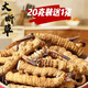 Cordyceps Sinensis Snow Mountain в тибетской области Cordyceps Sinensis крупные сломанные cordyceps sinensis едят большую сломанную траву и доступный суп и жеватель