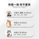 Little Sweat Pet Hair Blowing Artifact Hair Blowing Comb Dog Hair Blowing Machine Integrated Hair Dryer Teddy Hair Blowing Comb Beauty Special [One-click Hair Removal] Luxury Silver