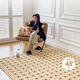 Rinoart money-filled cream living room wool carpet 140CMx200CM