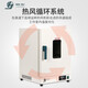 精宏（JINGHONG）DHG-9030A/9070A电热恒温鼓风干燥箱实验室工业消毒干燥箱 DHG-9923A