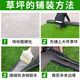Kaosen imitation lawn carpet, artificial plastic mat, kindergarten football field green decoration, fake green plant, artificial green turf simulation, 1.5 cm adhesive-free engineering grass 50 square meters