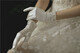 
Yinxiang's new Korean style bride wedding wedding photography photo photo accessories off-white satin pearl short gloves beige, single size
