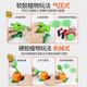 Plant vs. Zombie Toys 2 Pea Shooter Model Figure Full Set Can Be Ejected Soft Dolls 6-10 Years Old Children's Toys Boy [Soft and Hard Glue 28 Pieces - Storage Barrels] 19 Plants + 5 Zombies