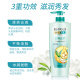 Liangsong Shampoo and Care Set Refreshing Anti-Dandruff and Anti-itch 750g*2+Conditioner 500ml Free Shampoo 200g Refill