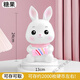 El nuevo Banco de Piggy de Niños y Niñas a prueba de otoño de Rabbit Piggy Bank se puede depositar y retirar el Zodiac Rabbit Internet Celamentos de celebridades de 18 cm Modelo medio de conejo Glutinoso Douyin