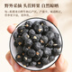 Tongrentang (TRT) Black Wolfberry Qinghai Qaidam desechable Wolfberry Wolfberry Camellia Antocianina Regalo de té de salud empapado 150 g/lata