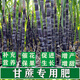 Special compound fertilizer for sugar cane, base fertilizer for thickening and straightening, strong and thickening for primates, thickening and sweetening for fruit trees, organic compound fertilizer, slow-release fertilizer, special fertilizer for sugar cane. 1 Jin Jin is equal to 0.5 kg.