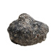 Osida Ambergris Ambergris Ambrosia Raw Materials Indoor Indoor Smoking Household Longyanxiang Natural Raw Materials Spice No. 671 0.20g Ambergris