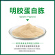 Gelatin peptone medium dry powder raw material experimental supplies microbial nitrogen source replaceable gelatin peptone Y002 250g/bottle