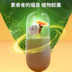 Green Valley Pearl 10 free 2 broken wall Ganoderma lucidum spore powder capsules Ash tree flower Ganoderma lucidum extract to improve immunity and give gifts to parents