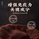 雷允上【官方】破壁灵芝孢子粉4g 吉林长白山灵芝袍子粉 增强免疫力