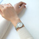 Armania Watch Women's Apnow's Star Series de acero Belt Fashion Fashion Munda para mujeres de diamantes AR11150