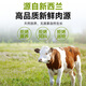 ZEAL dog staple food canned 170g*12 chicken, adult dog puppies, wet food, dog food, original imported from New Zealand