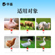 Huazhu multidimensional baking soda for veterinary use 10Jin Jin is equal to 0.5kg. Feed additive for livestock and poultry feeding, pigs, cattle, sheep, ducks and goose breeding. Multidimensional baking soda in large barrels. 10Jin Jin is equal to 0.5kg.