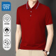真维斯（Jeanswest）短袖POLO衫夏季纯色绣标上衣服polo衬衫上衣服polo衬短袖上衣 白色698 3XL （建议150-170斤）