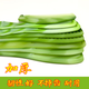 
He Tong Beef tendon comb Thickened beef tendon comb jade color folding comb plastic is easy to use and not broken SN3519 Beef tendon [tight teeth]