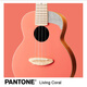 
Rainbow Man (aNueNue) Ukulele UC10 Vancouver Beginners for Men and Women Getting Started 23-inch Small Guitar UC10LC Live Coral Orange