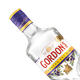 Gordon's Special Dry London Gin Gin Gin Wine Martini Gin and Tonic 700ml 700mL 1 bottle