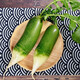 Jingxiansheng authentic Tianjin Shawo radish 9Jin Jin is equal to 0.5kg, single root is more than 300g, landmark style crispy and sweet fruit type, straight from the source