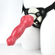 FAAK HEUNE DE NOUVEAU COULEUR MIXE COLOCE SILICONE MENS ANIMALES ANIMALS Les hommes et les femmes portent un pénis animal