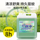 Lanyunmei Highly Concentrated Floor Mopping Toilet Water Large Bottle 40 Jin Jin is equal to 0.5 kg Commercial Hotel Special Perfume Fragrance Home Large Bottle 20kg