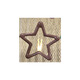BARY REEF large star hair clip, broken hair clip, star five-pointed star color bb clip, broken hair clip, bangs clip, simple side clip, five-pointed star mixed color (pack of five)
