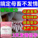 Luan Magnetic Sow Hair Qing Veterinary Use to Promote Pregnancy and Promote Emotion Sows Do Not Have Hair to Promote Pregnancy and More Litters Sow Health Feed Added Sow Hair Qing 1 Bag 50g