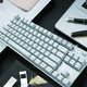 罗技（Logitech） K835有线键盘 机械轴体紧凑设计 游戏办公打字便携键盘 个性朋克键帽 84键 生日节日礼物 【K835青轴】白色