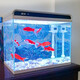 SUNSUN ultra-white glass small fish tank living room small desktop home aquarium ecological water-change-free goldfish tank HE380 high-end tank built-in cotton filter material (38*26*38cm)